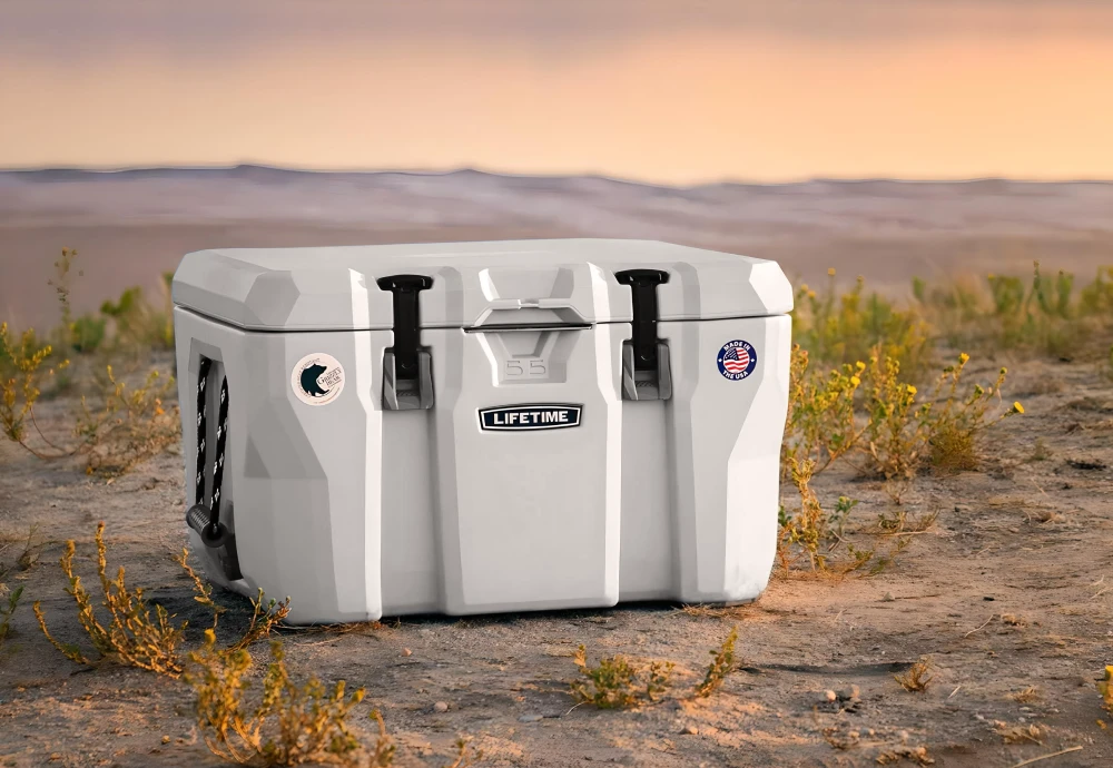 cooler box portable