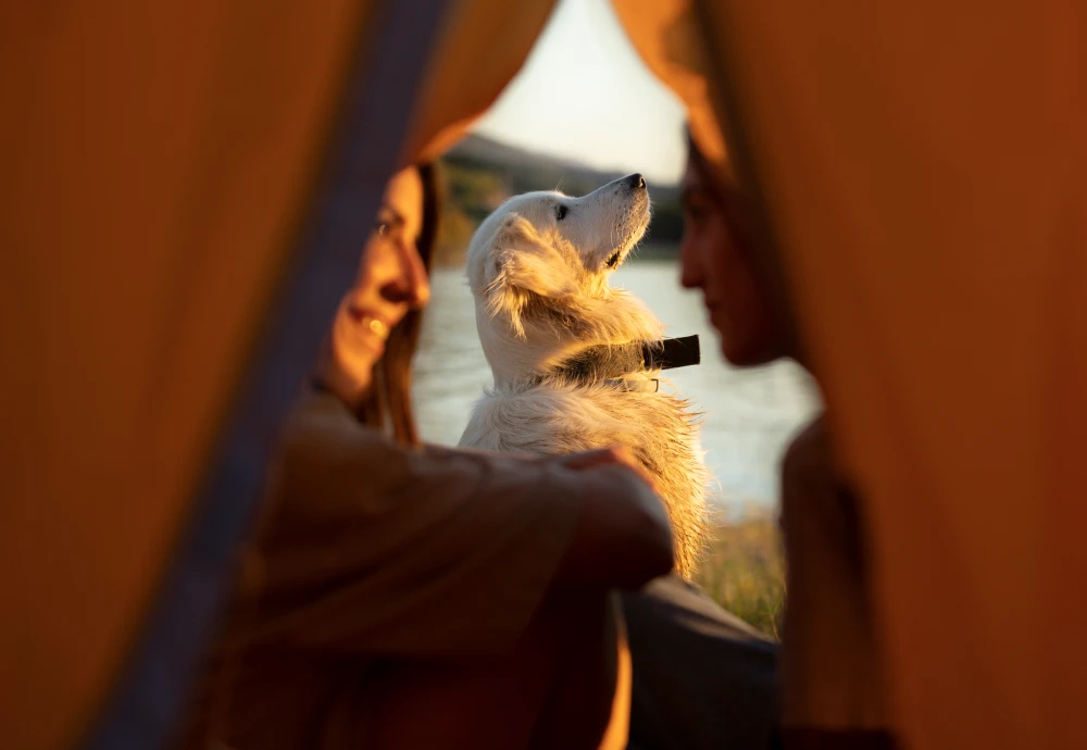 tipi glamping